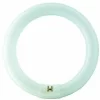 Osram Leuchtstofflampe L 22 Watt 865 Tageslicht C Tageslicht T8 G10Q Circular 26mm Tube 7
